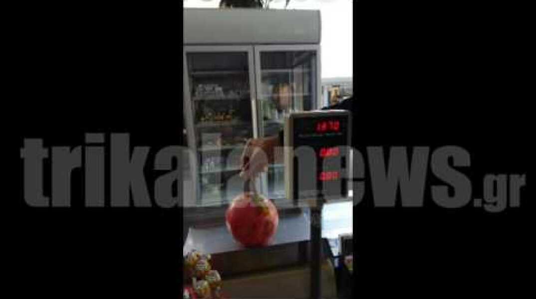 Ρόδι για …ρεκόρ Γκίνες στο Γριζάνο Τρικάλων