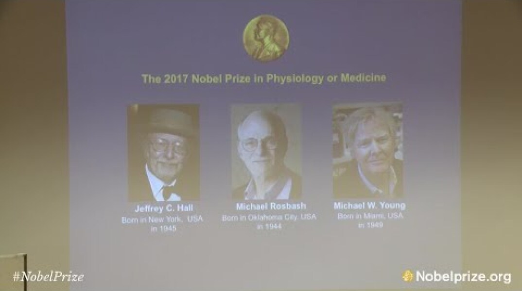 Announcement of the 2017 Nobel Prize in Physiology or Medicine