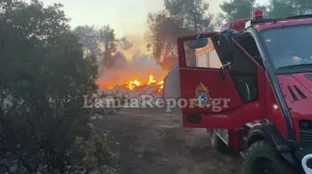 Lamiareport.gr:  Καταστροφές από την πυρκαγιά στο Μαρτίνο 2