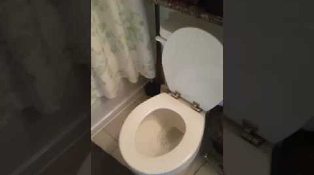My roommates toilet is crying in the bathroom because they're out of town