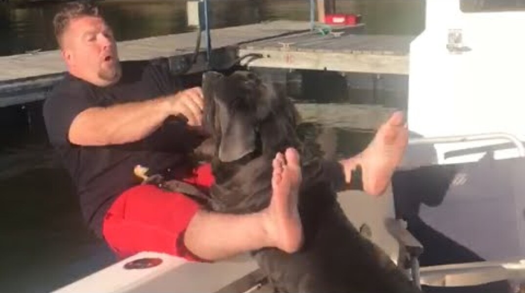 Dog Accidentally Pushes Owner off Boat