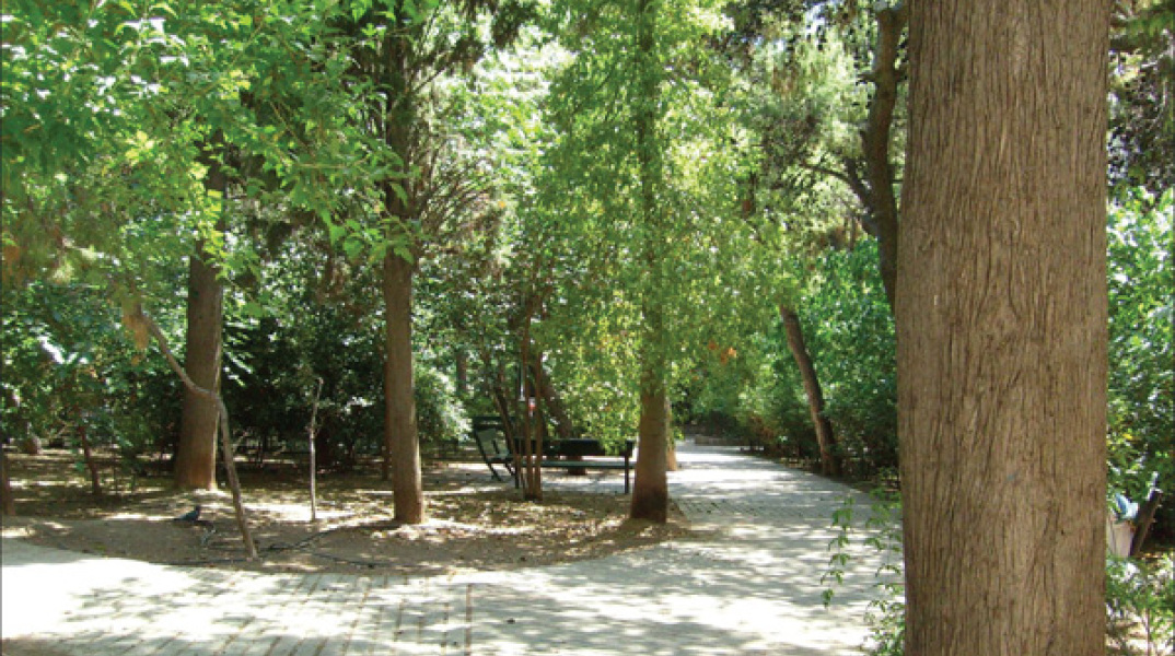 Συμβαίνει στο Παγκράτι