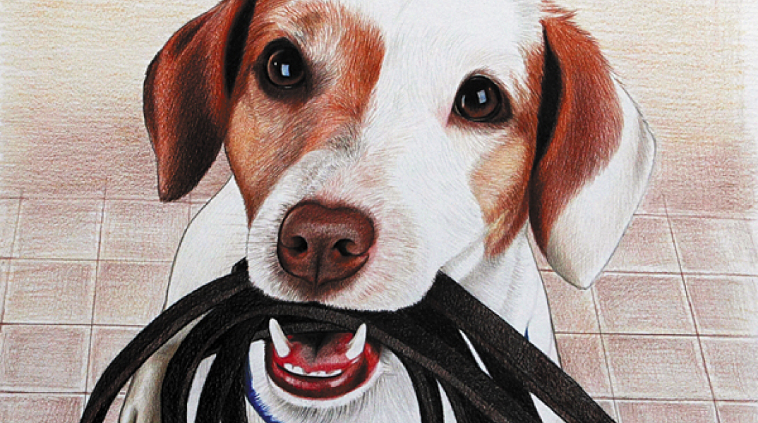 Έργο της Αγγελικής Σταυριάνου