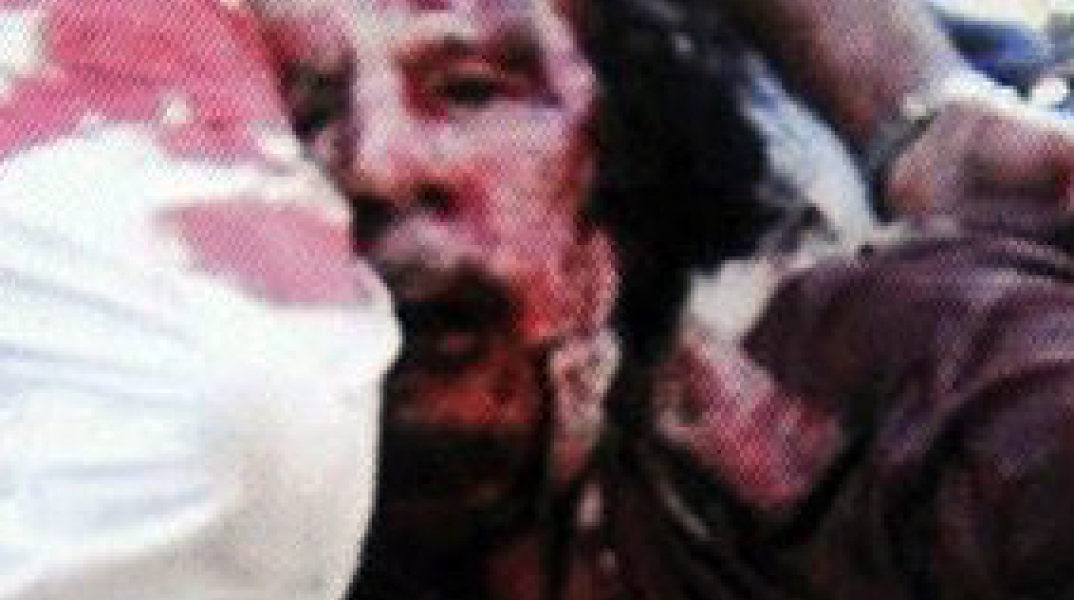 17045-44478.jpg