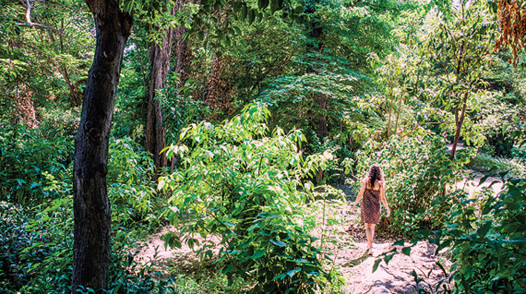 Φωτό: Ορέστης Σεφέρογλου