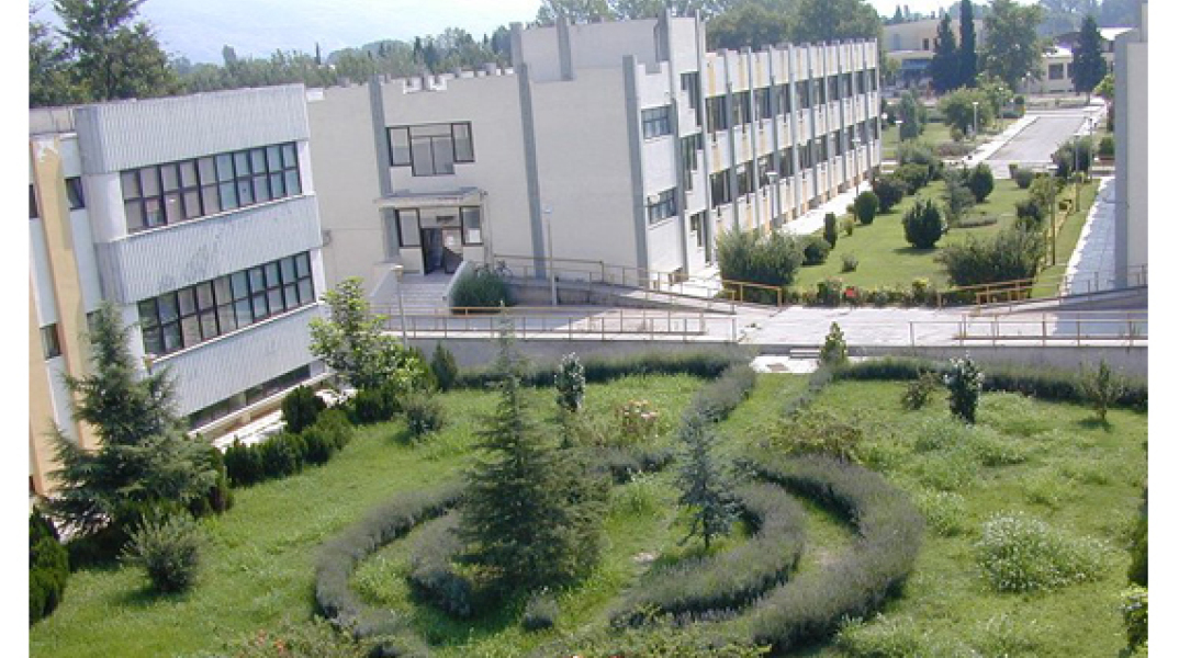 26250-60487.jpg