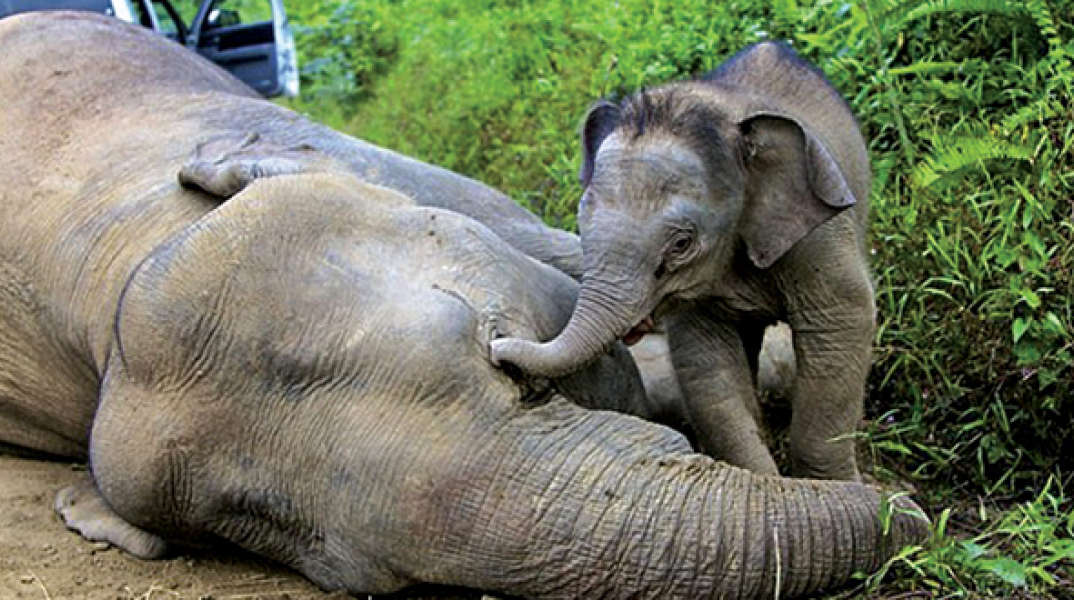 Αναδημοσίευση από το τελευταίο τεύχος του περιοδικού του Γιώργου Χρονά «Οδός Πανός».