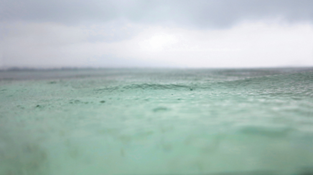 «Sea Through», Μαρίνα Βερνίκου