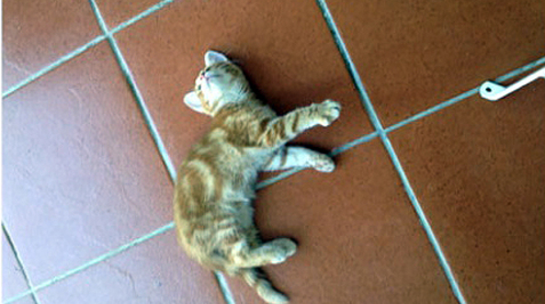 46678-97744.jpg