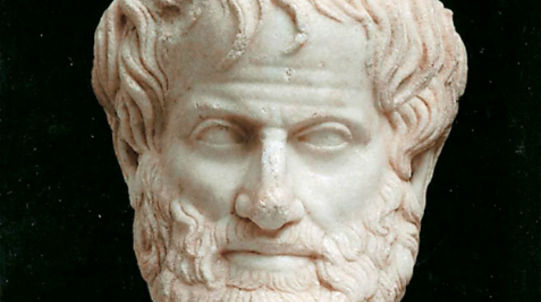 48781-100254.jpg