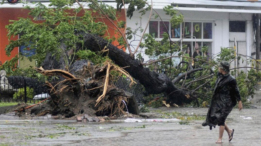 53598-108872.jpg