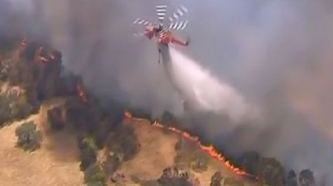 58823-117369.jpg