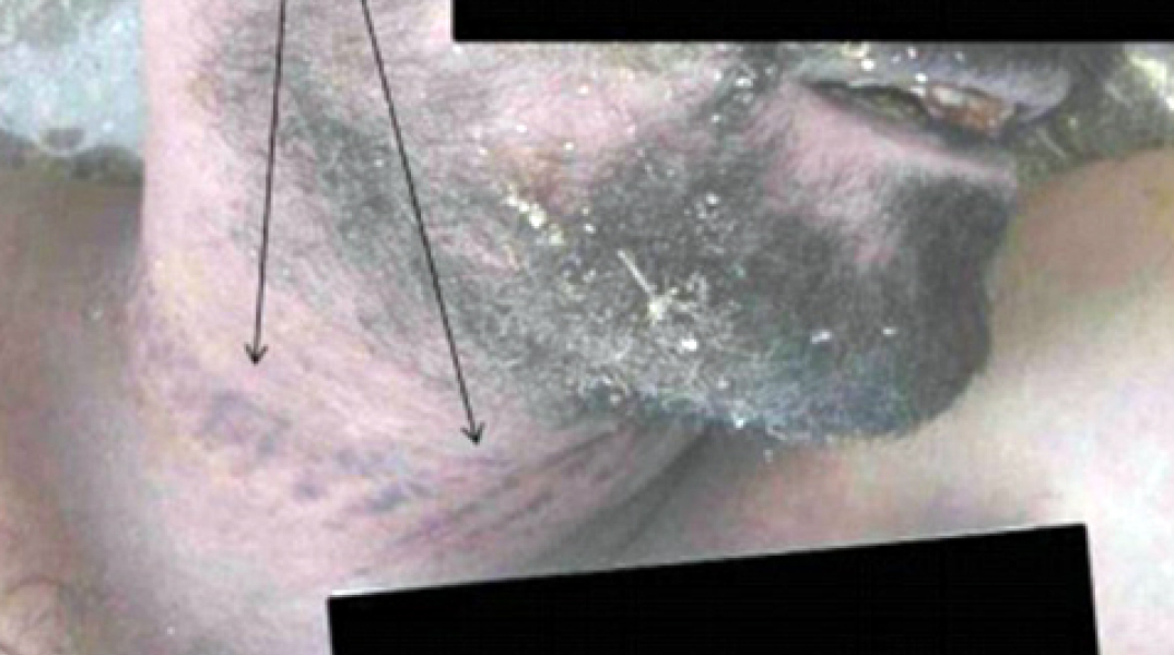 59025-117737.jpg