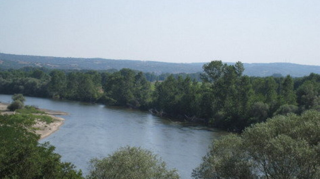 66262-133542.jpg
