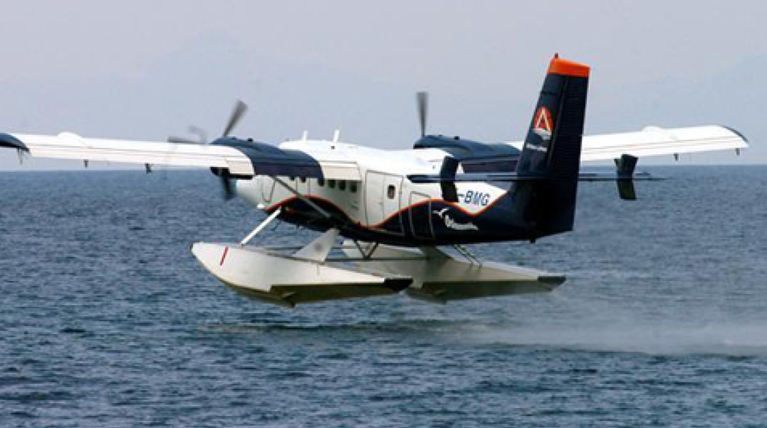 67846-136734.jpg