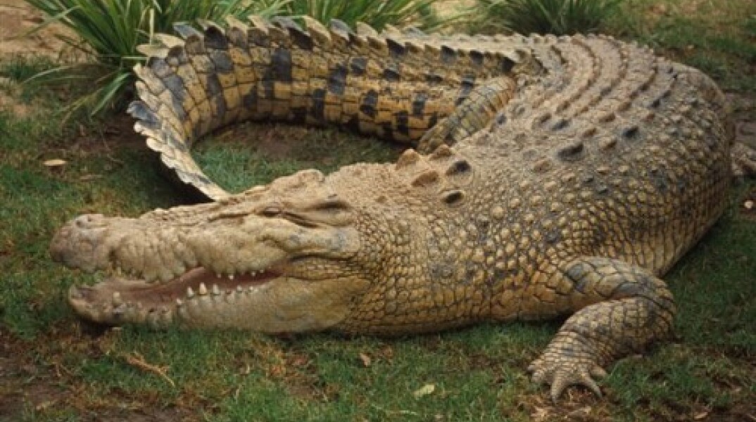 74720-150897.jpg