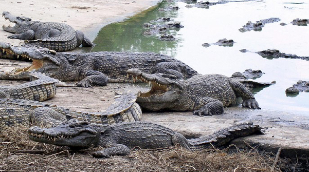 76538-154175.jpg