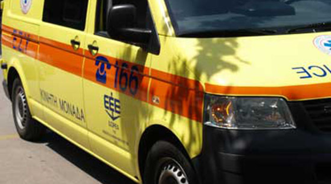 77446-156008.jpg