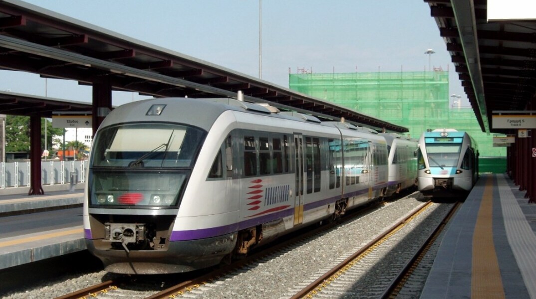 77449-156011.jpg