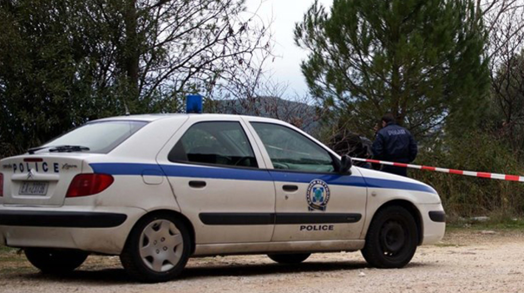 78580-158463.jpg