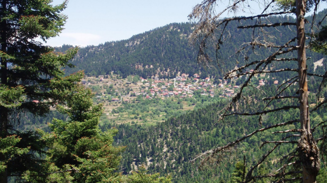 87000-175243.jpg