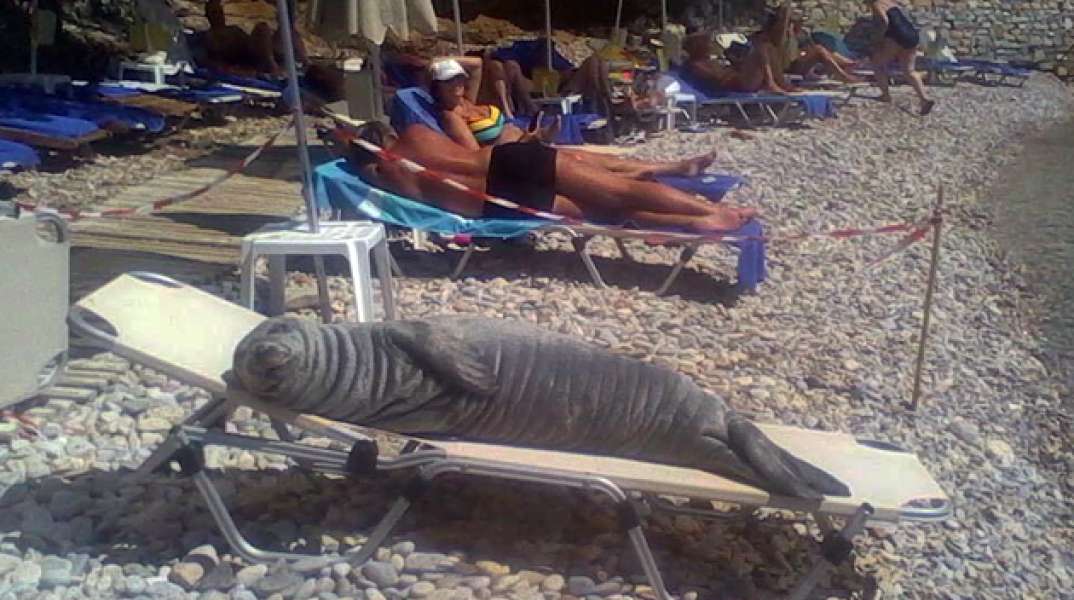 100720-201200.jpg