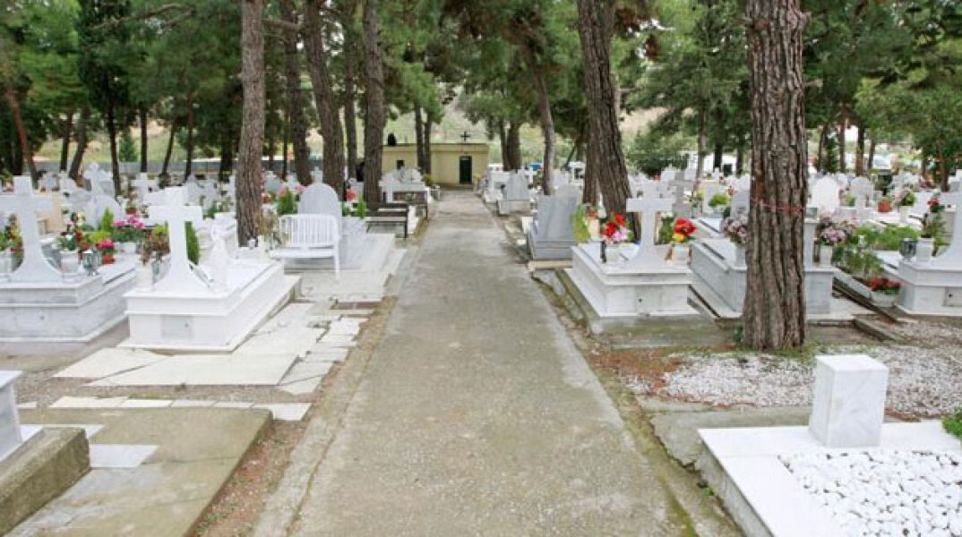 106993-212184.jpg