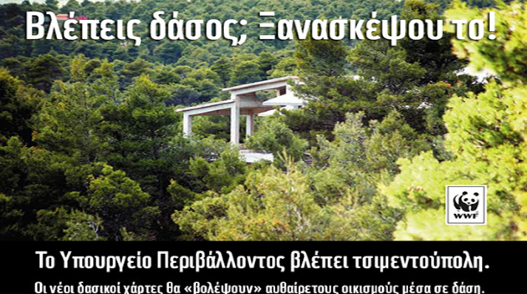 128869-291043.jpg