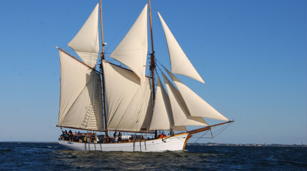 129530-292912.jpg