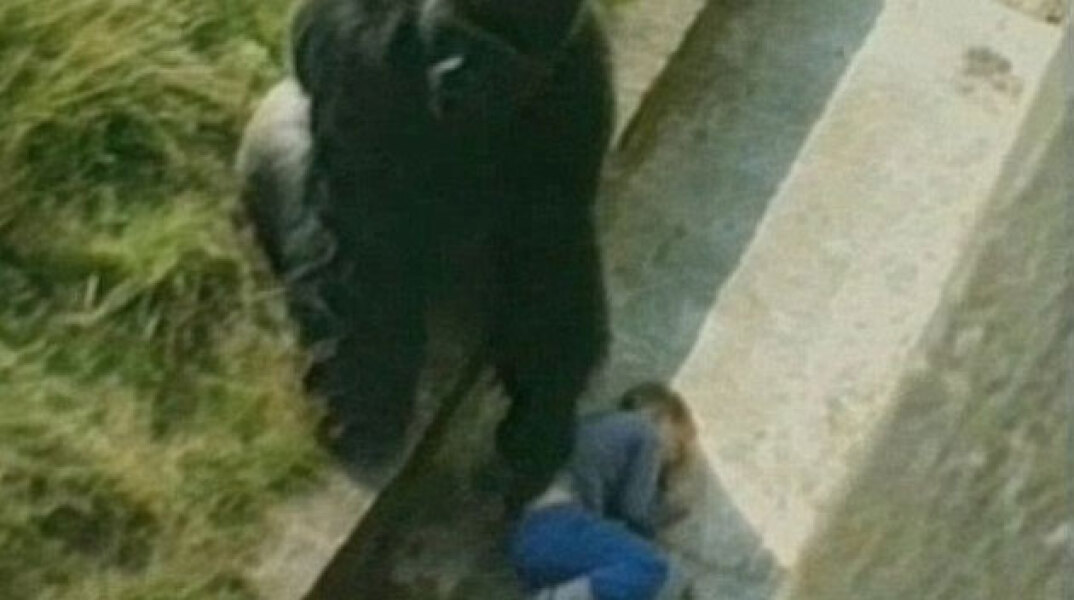 129702-293354.jpg
