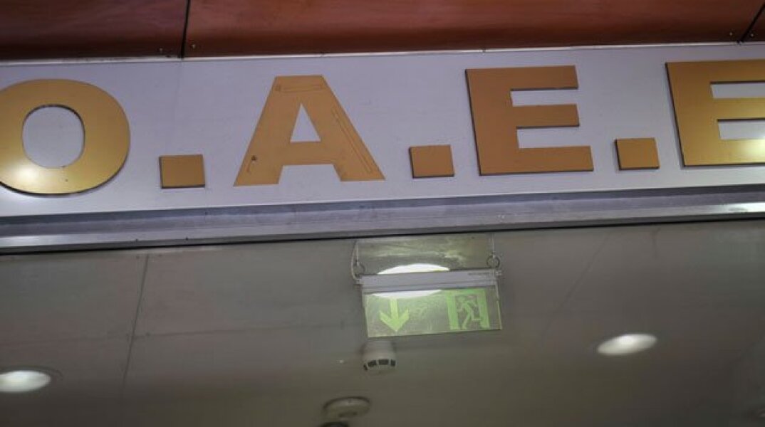 136101-311046.jpg