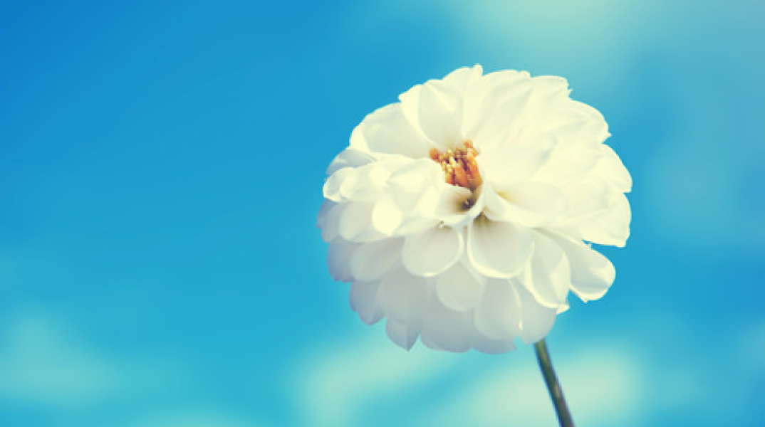 Ποιοι γιορτάζουν σήμερα 29 Μαρτίου; Το εορτολόγιο της Athens Voice σου τους θυμίζει. Μην ξεχάσεις να τους δώσεις τις καλύτερες ευχές σου!