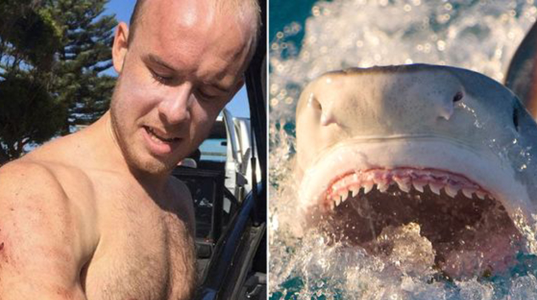 Τσάρλι Φράι