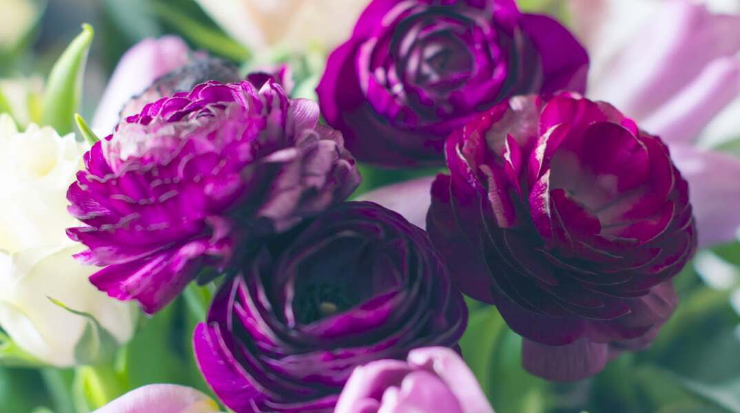 Σήμερα, 23 Νοεμβρίου, γιορτάζει…