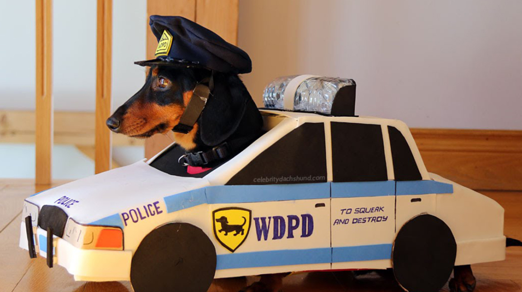 Χρειάζεστε άμεση επέμβαση; 