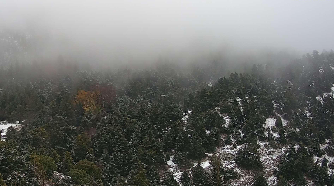 Χιόνι στην Πάρνηθα - οι πρώτες εικόνες από το καταφύγιο Μπάφι