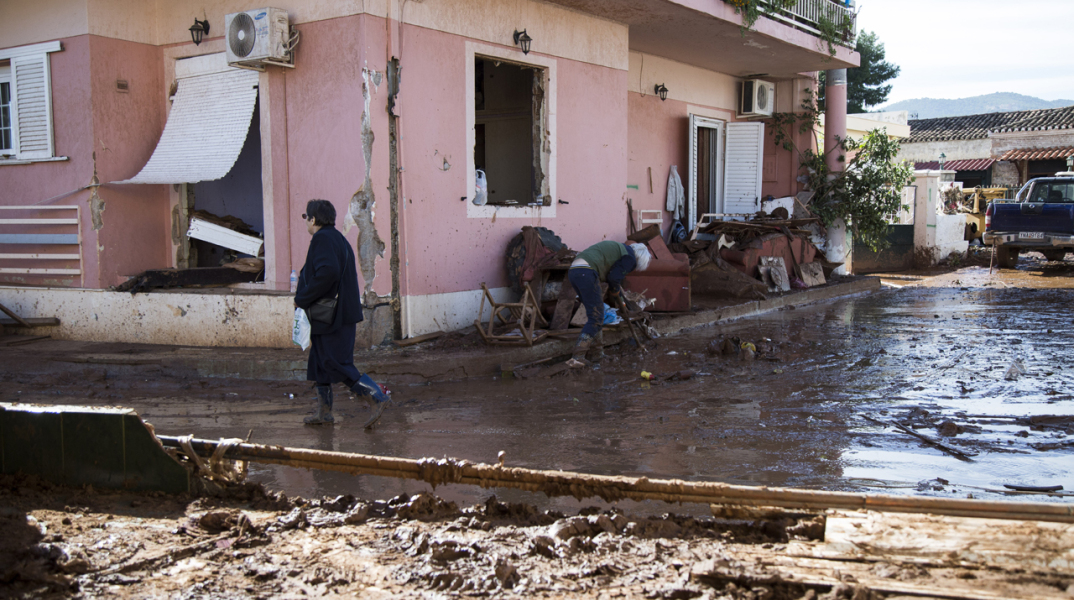 Ταυτοποιήθηκε η σόρος που βρέθηκε σήμερα στην Μάνδρα