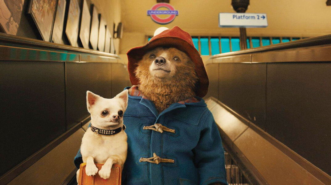paddington-21.jpg