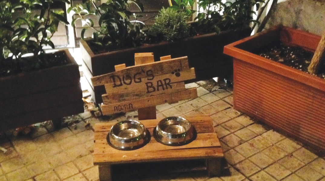 Dog's Bar στην οδό Βουρνάζου, στους Αμπελόκηπους
