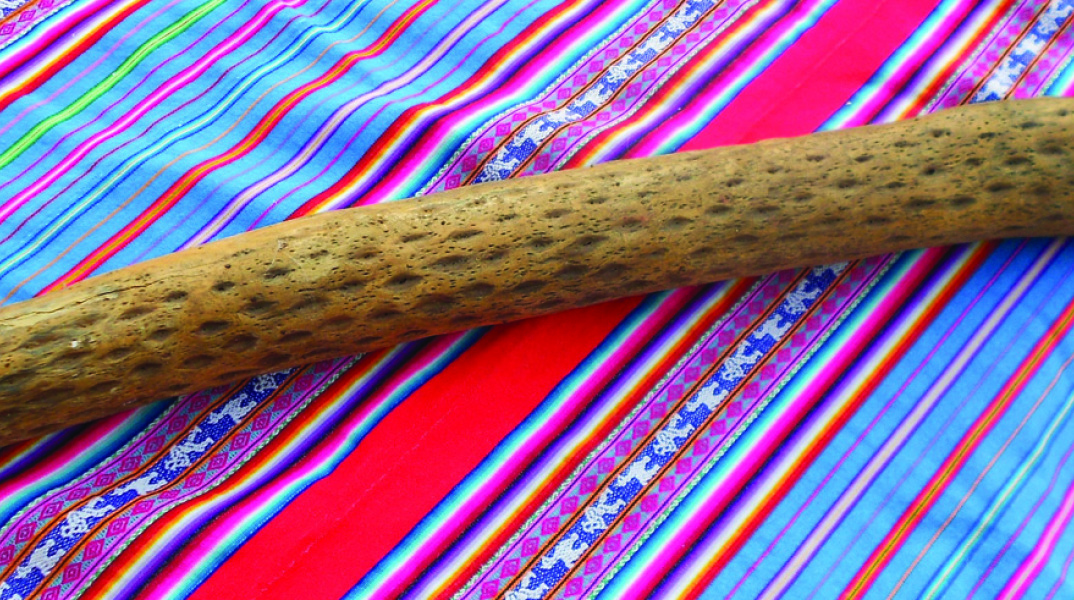 H βροχή του δάσους