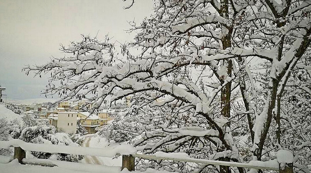 Χιόνια στην περιοχή της Φθιώτιδας 