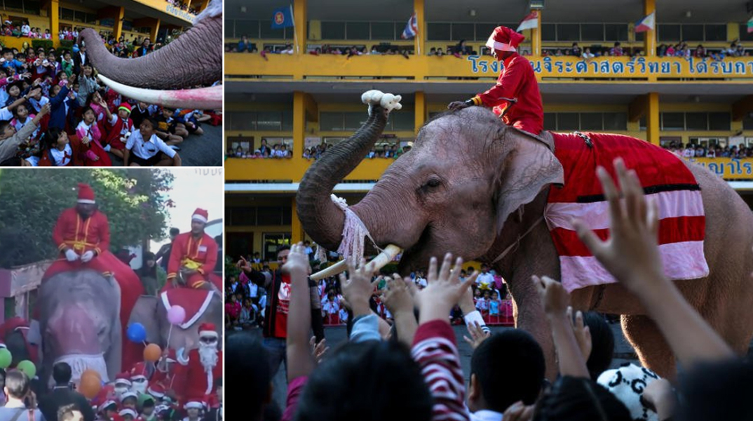 ελέφαντες, Ταϊλάνδη