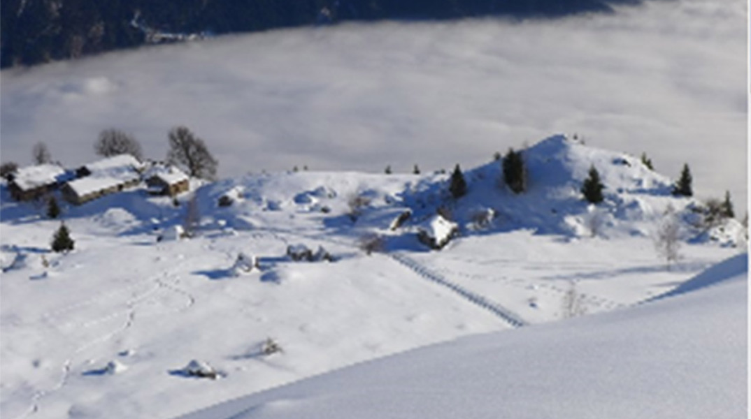 alps1.jpg