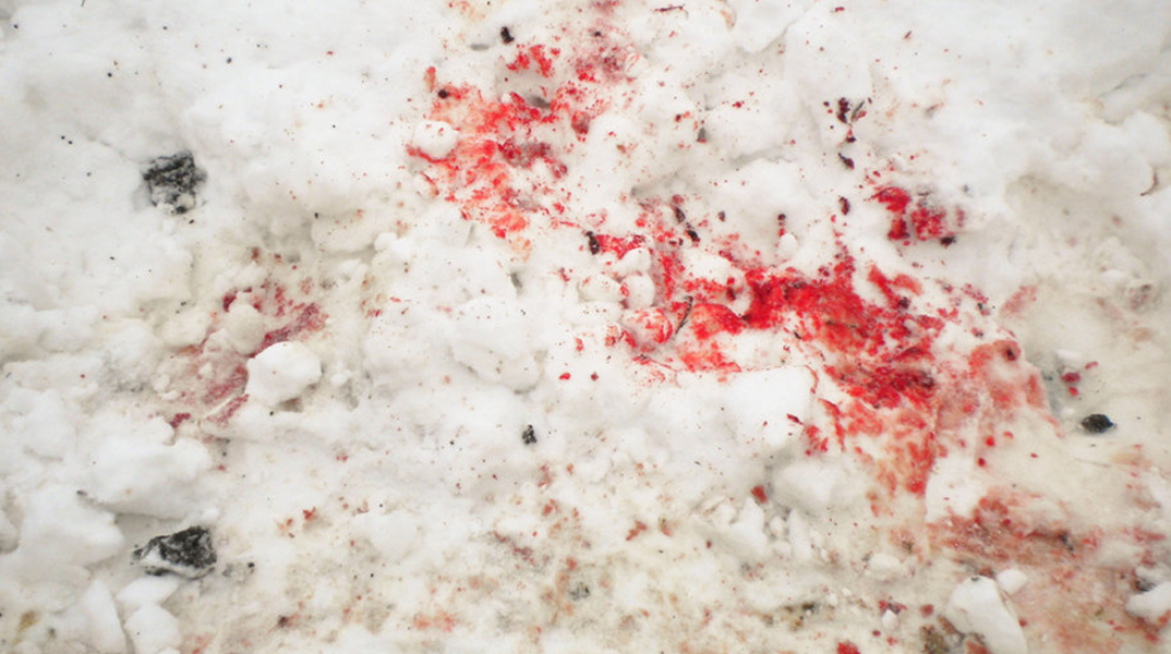 blood-on-the-snow.jpg