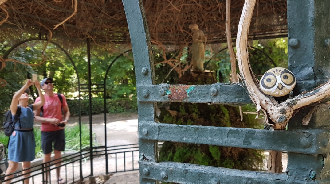 Οι κρυμμένες κουκουβάγιες της Αθήνας