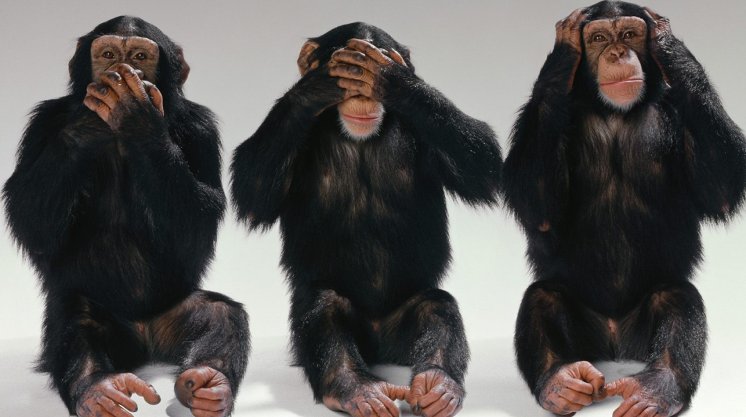 see-no-evil-hear-no-evil-speak-no-evil-monkeys-14750406-1600-1200.jpg