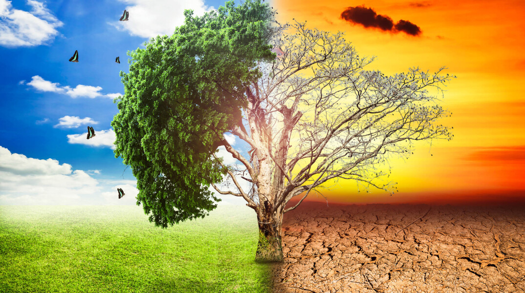 global-warming-climate-change-tree_1big_stock2.jpg