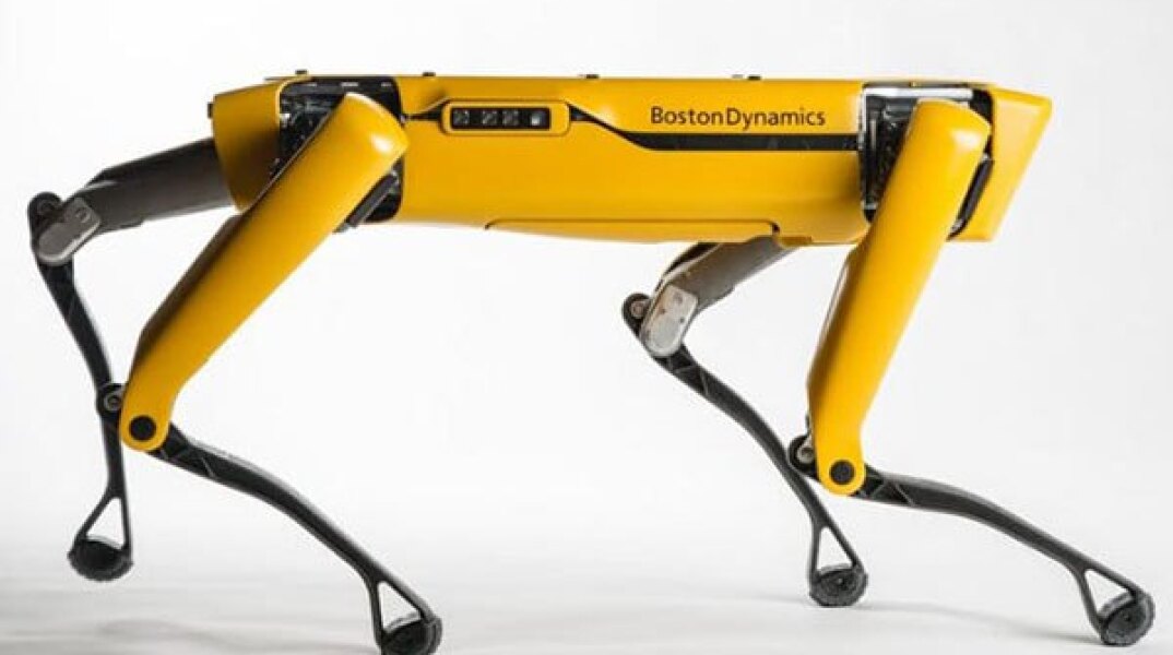 robot_portiero_-_boston_dynamics.jpg