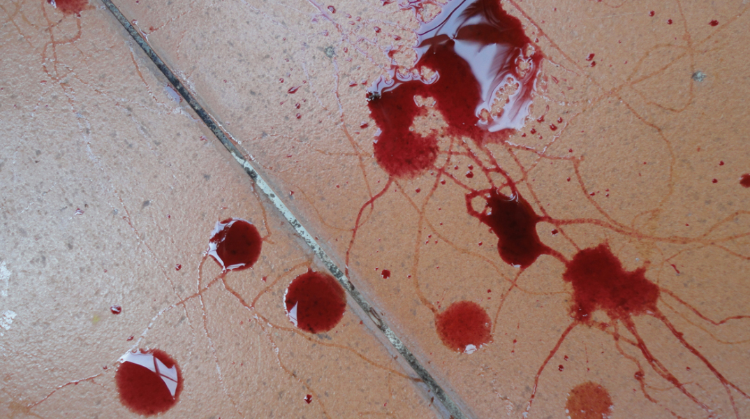 bllod-on-the-floor23423.jpg