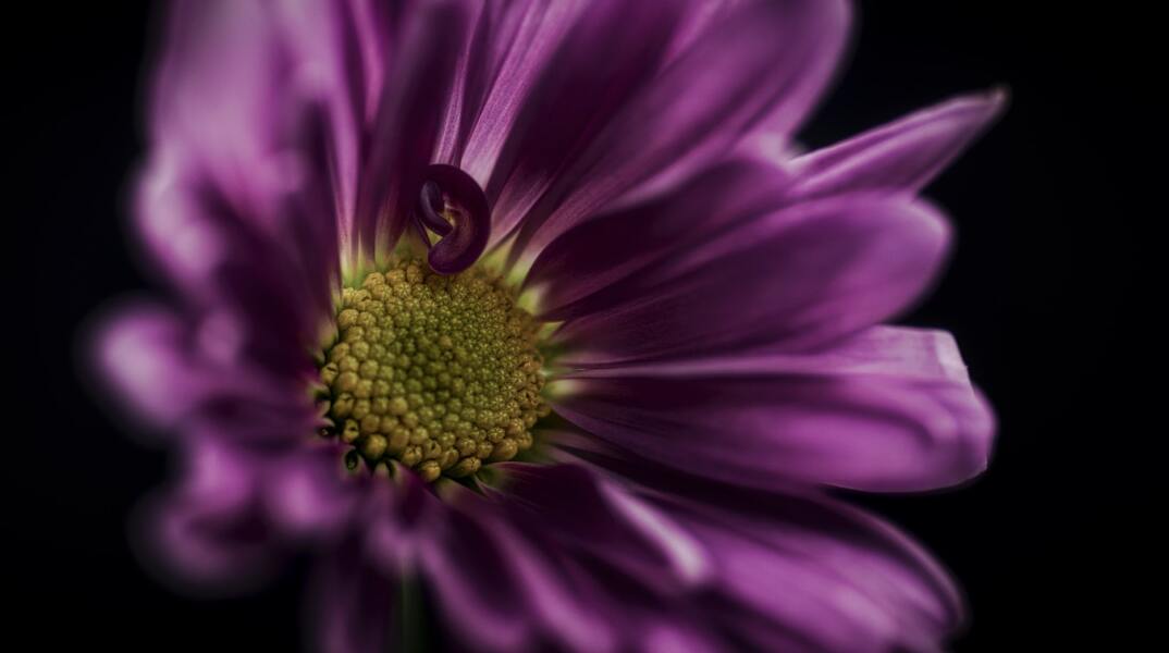 Ποιοι γιορτάζουν σήμερα 14 Μαρτίου; Το εορτολόγιο της Athens Voice